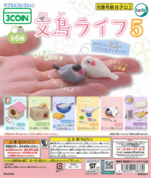 Sparrow Life 5