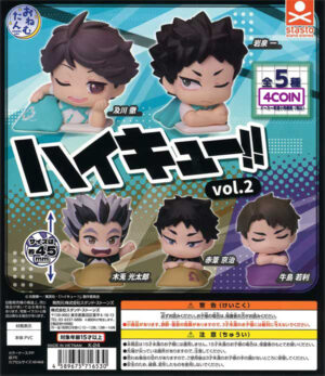 Haikyu!! Onemutan Vol 2