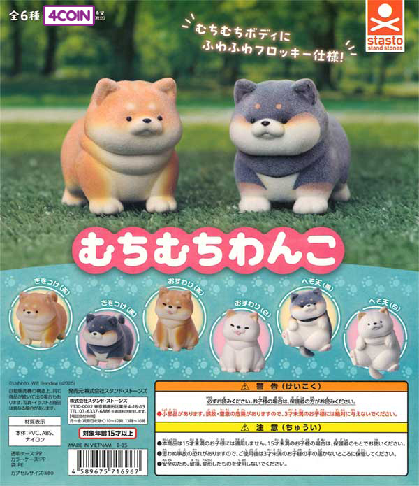 Plump Dog