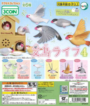 Sparrow Life 4