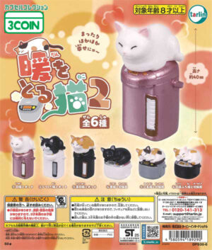 Warm Cat 2