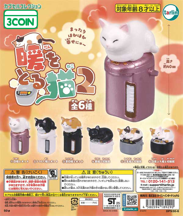 Warm Cat 2